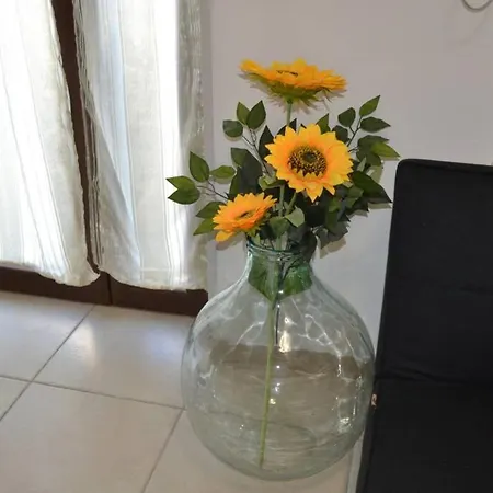 Apartment Casetta In Campagna Da Zia Tonia